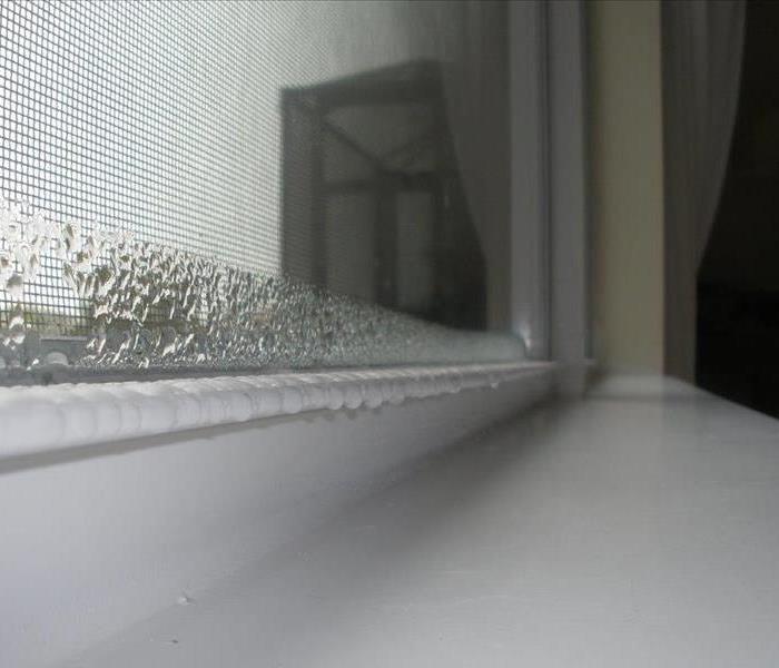 Mold and condensation on a window sill 