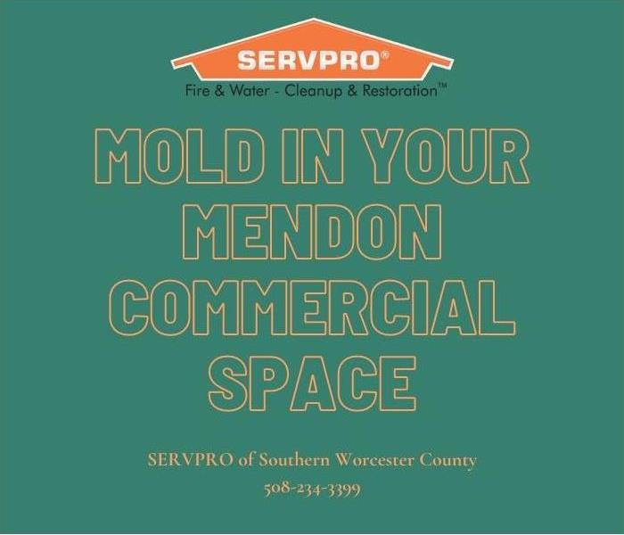 Mold in your Mendon commercial space